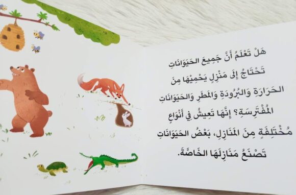 سلسلة أخبرني: ما نوع بيتك؟ - Image 3