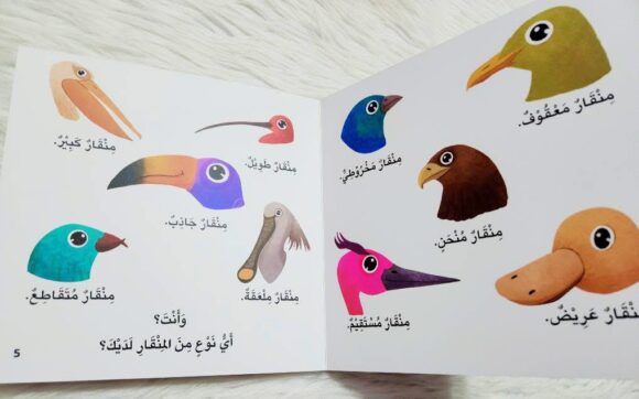 سلسلة أخبرني: ما نوع منقارك؟ - Image 4