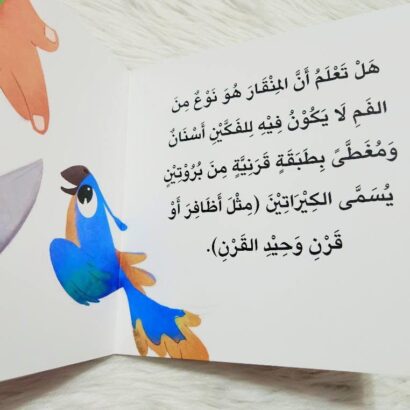 سلسلة أخبرني: ما نوع منقارك؟ - Image 3