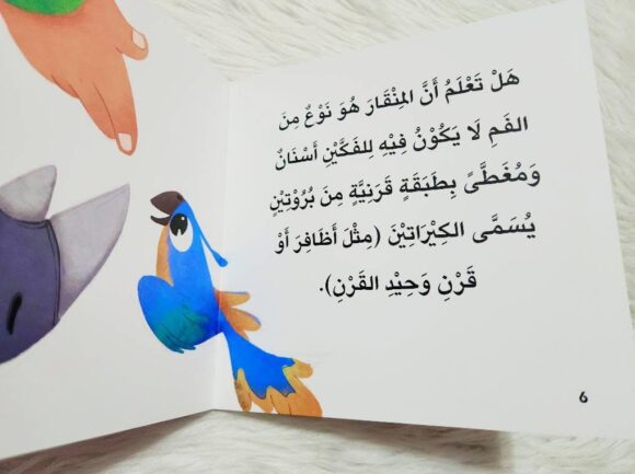 سلسلة أخبرني: ما نوع منقارك؟ - Image 3