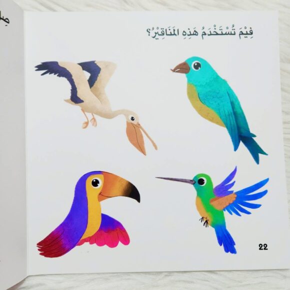 سلسلة أخبرني: ما نوع منقارك؟ - Image 2