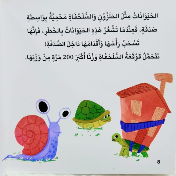 سلسلة أخبرني: ما نوع غطائك؟ - Image 6