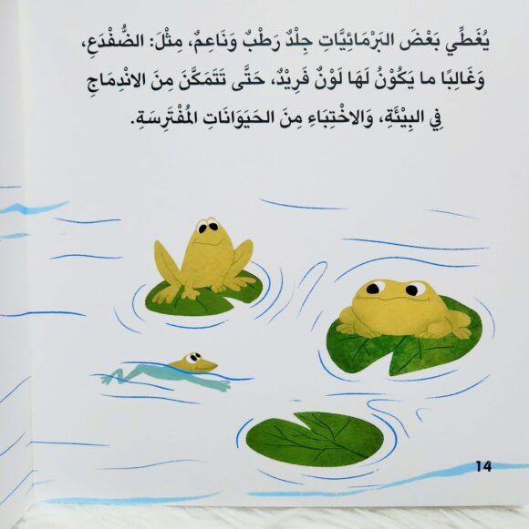 سلسلة أخبرني: ما نوع غطائك؟ - Image 4
