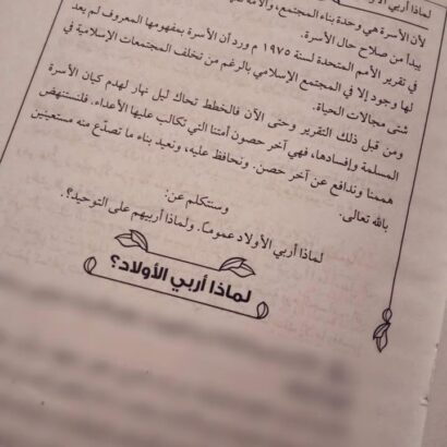 غرسي - Image 3