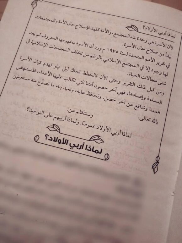 غرسي - Image 3
