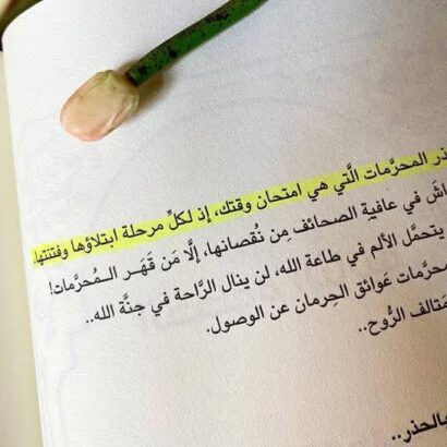 منهجية السير إلى الله - Image 5