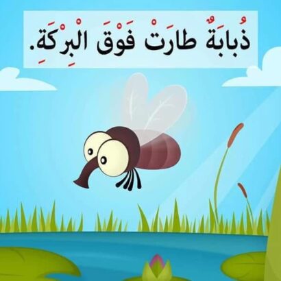 ذبابة طارت فوق البركة - Image 4