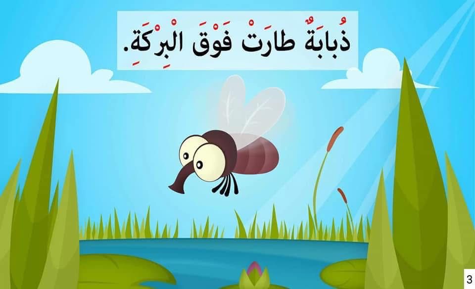 ذبابة طارت فوق البركة - Image 4