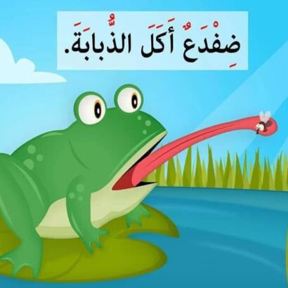 ذبابة طارت فوق البركة - Image 3