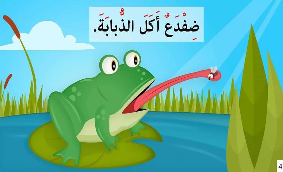 ذبابة طارت فوق البركة - Image 3