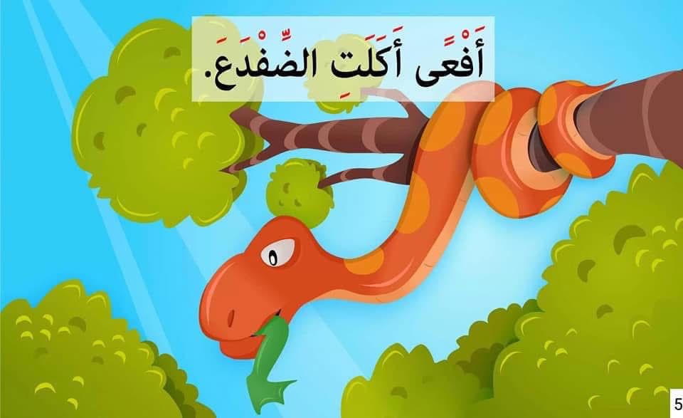 ذبابة طارت فوق البركة - Image 2