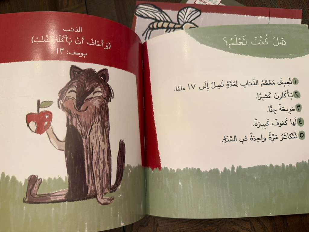 آية ومعلومة - Image 8