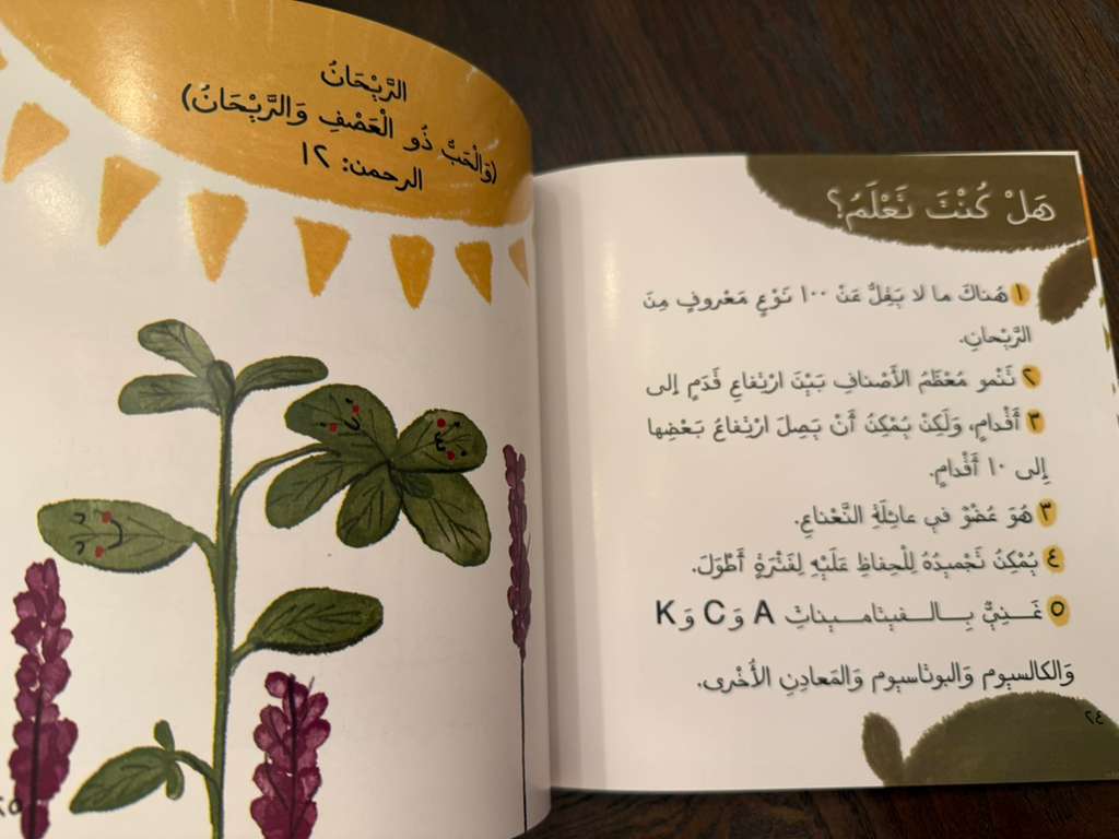آية ومعلومة - Image 11